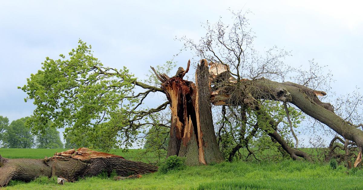 Resistance versus resiliance
